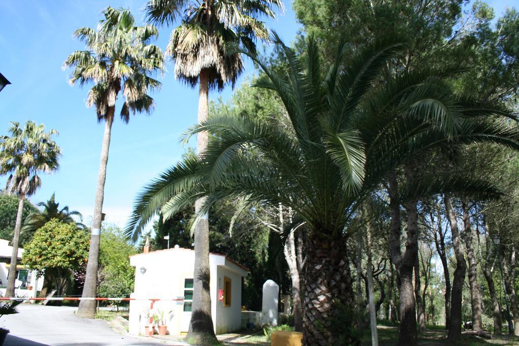 Bungalows Y Glamping Medina Sidonia Exterior photo