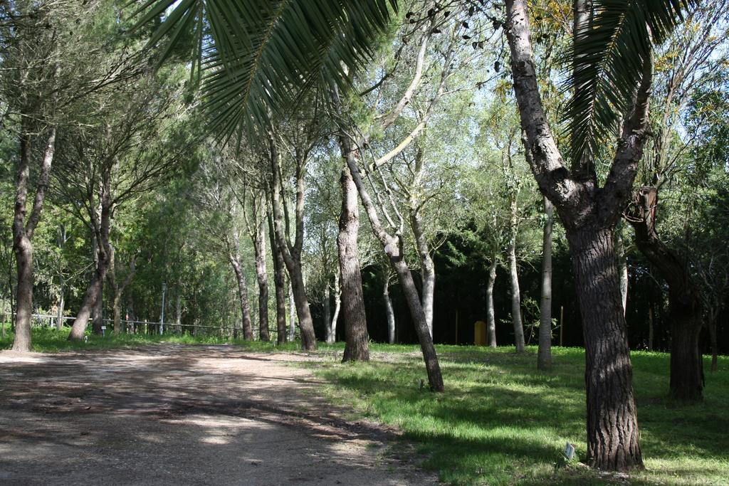 Bungalows Y Glamping Medina Sidonia Exterior photo